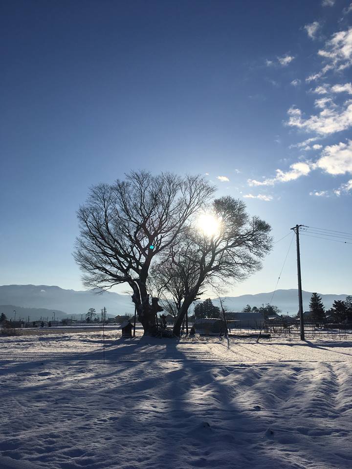 安曇野の朝　雪あがり