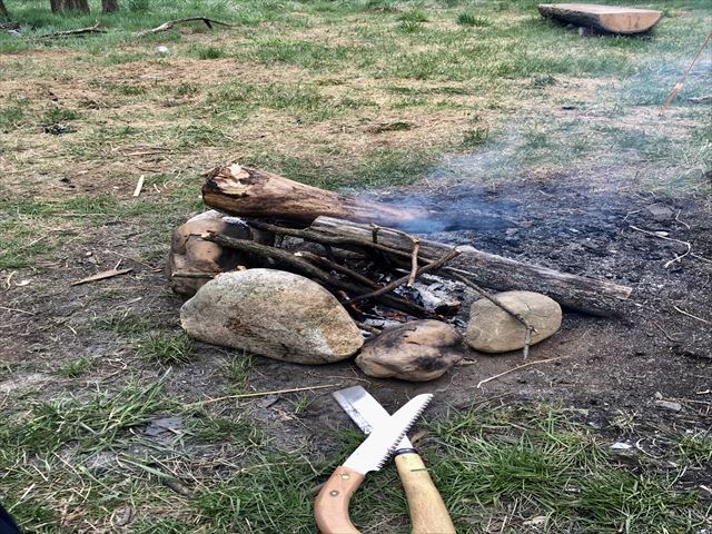 田舎の喧騒を離れ森へ出かける
