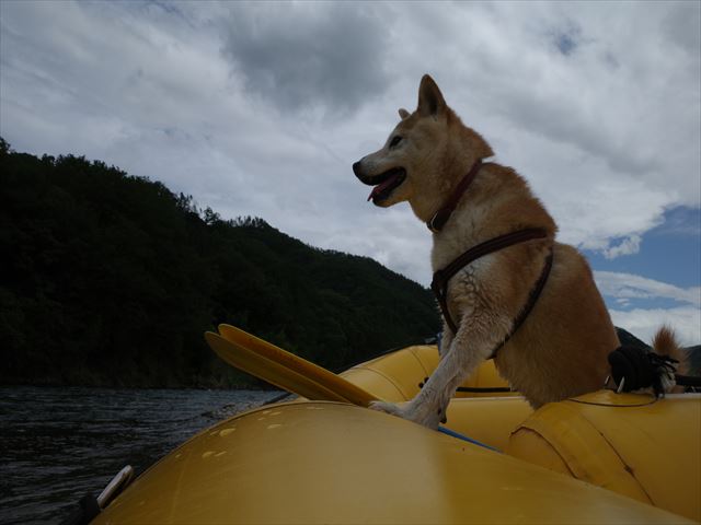 安曇野　川下り　