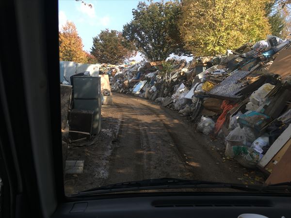 災害ボランティアと青鷺