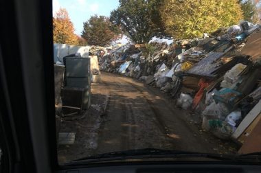 災害ボランティアと青鷺