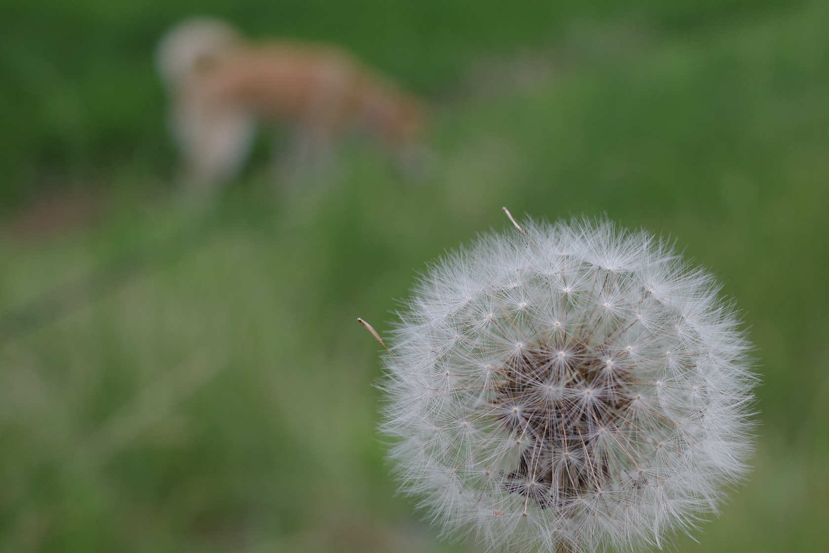 コロナ騒動　あたたかい未来