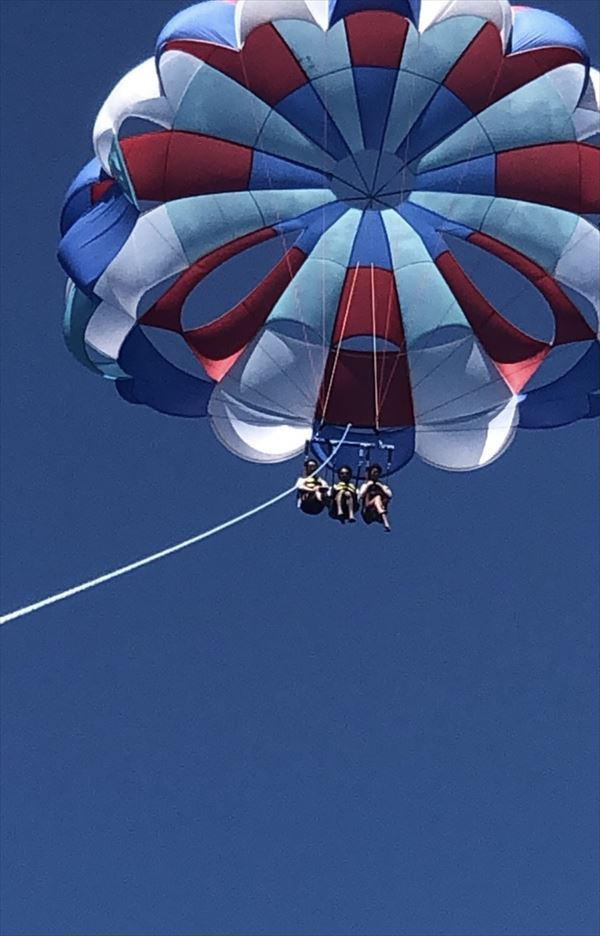 バードビュー　feeling